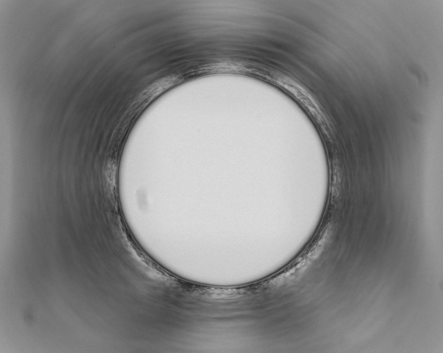 X0000110920849200907301601