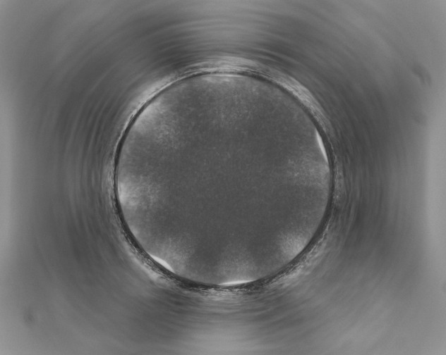 X0000110920850200907301601