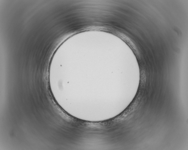 X0000110920852200907301601
