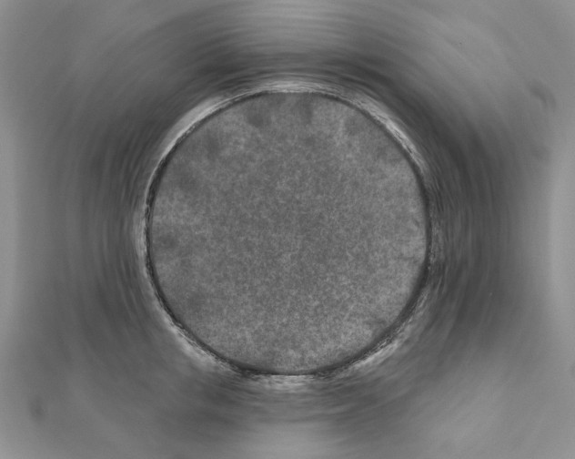 X0000110920853200907301601