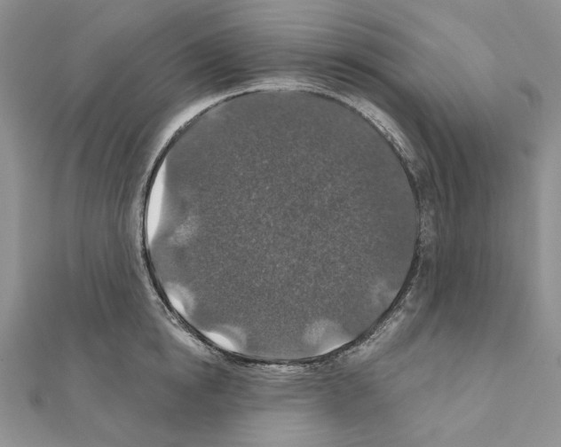 X0000110920854200907301601