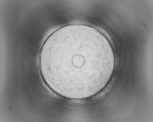X0000110920855200907301601