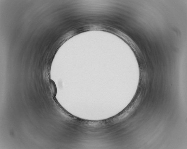 X0000110920857200907301601