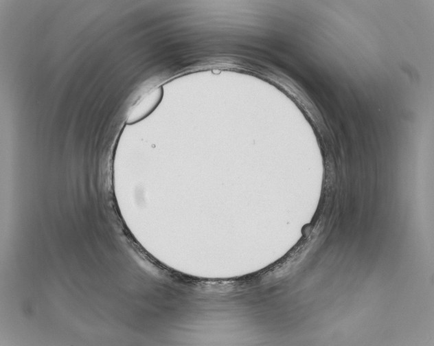 X0000110920858200907301601