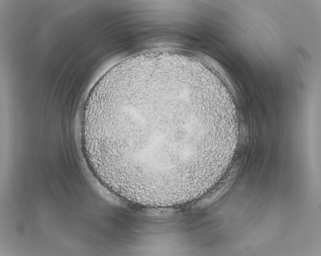 X0000110920859200907301601