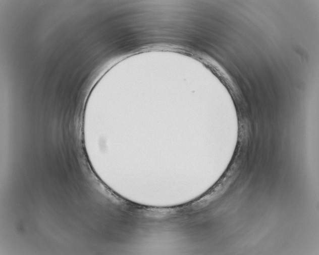 X0000110920860200907301601