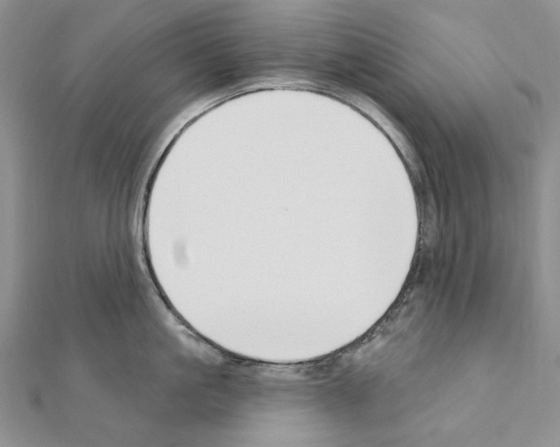 X0000110920861200907301601