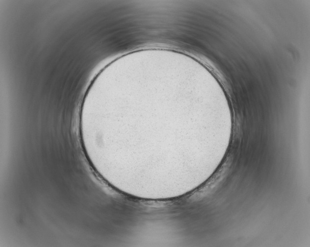 X0000110920862200907301601