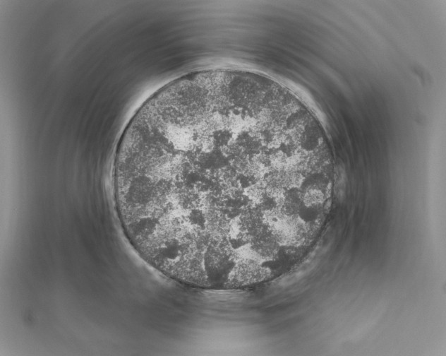 X0000110920863200907301601