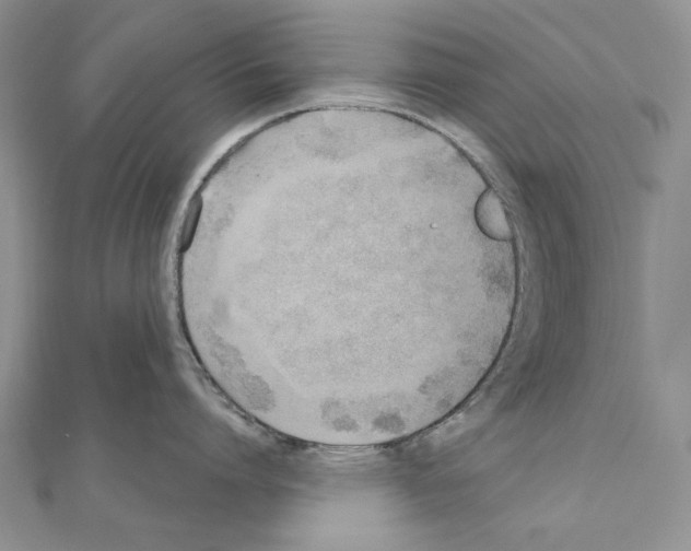 X0000110920864200907301601