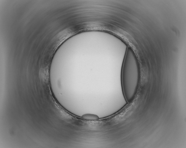 X0000110920897200907301600