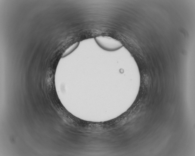 X0000110920914200907301559