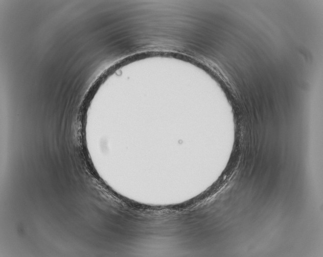 X0000110920926200907301559