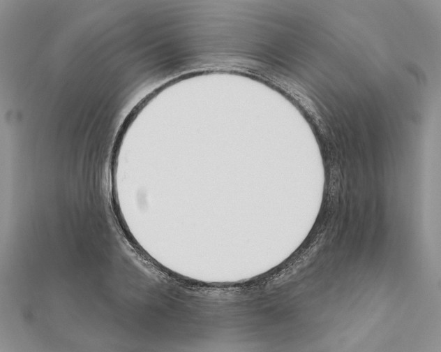 X0000110920936200907301559