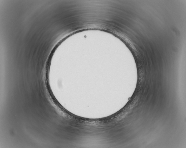X0000110920991200907301558