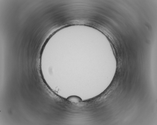 X0000110920992200907301558