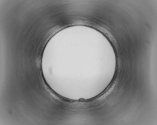 X0000110920993200907301558