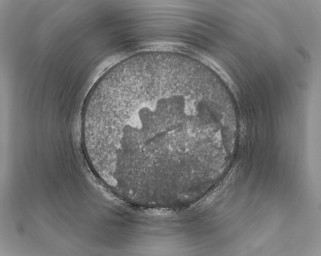 X0000110920994200907301558