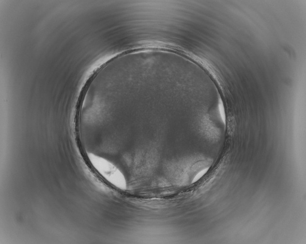 X0000110920995200907301558