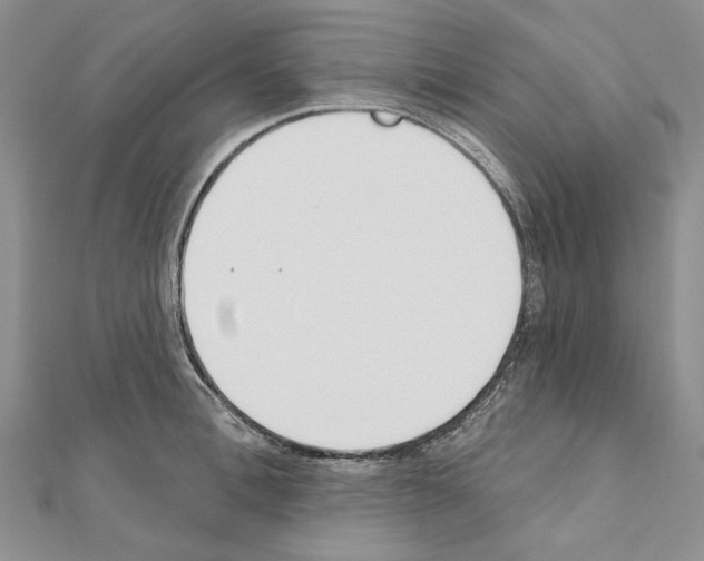 X0000110920996200907301558