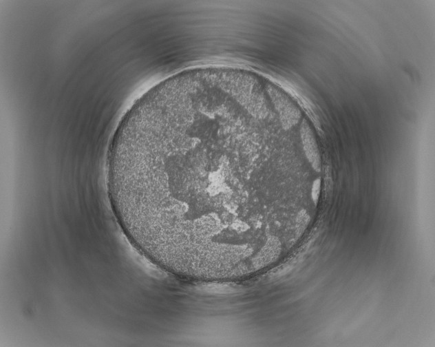 X0000110920998200907301558
