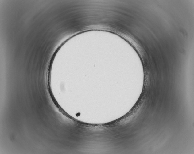 X0000110920999200907301558