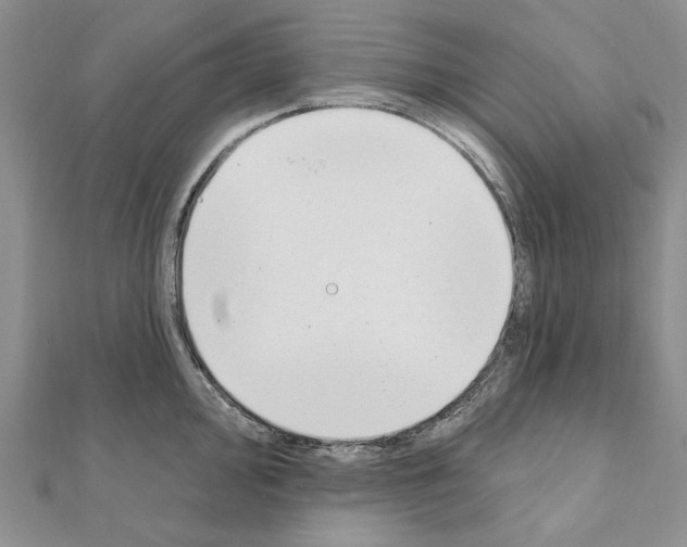 X0000110921000200907301558