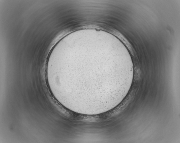 X0000110921002200907301558