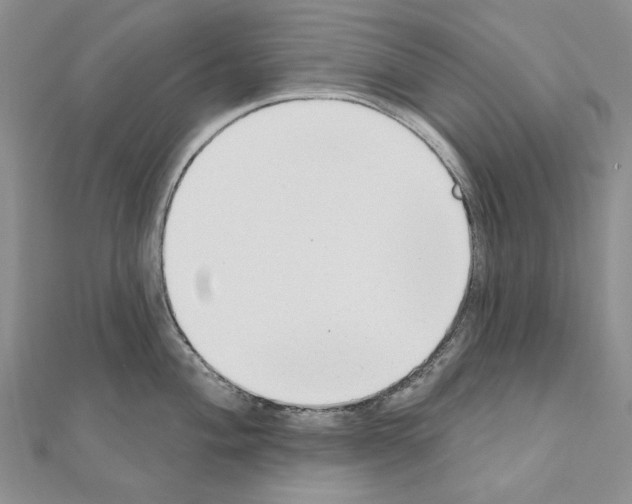 X0000110921004200907301558