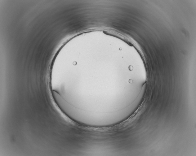 X0000110921005200907301558