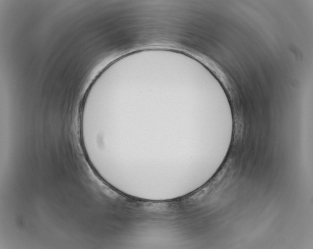 X0000110921006200907301558