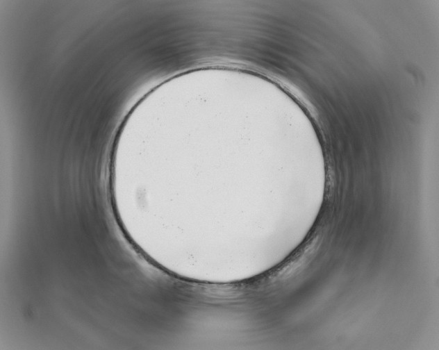 X0000110921007200907301558