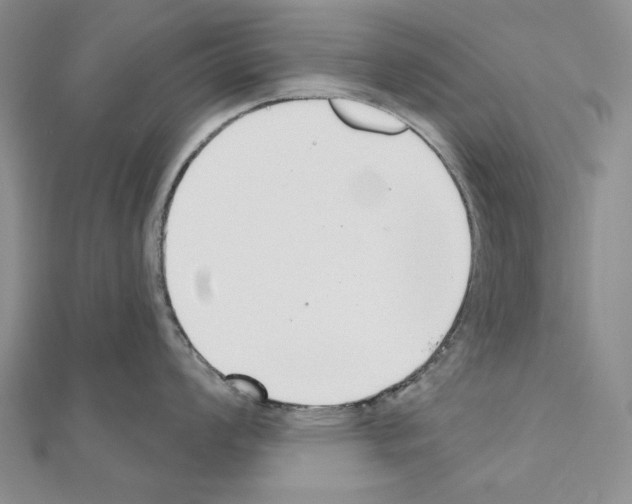 X0000110921008200907301558