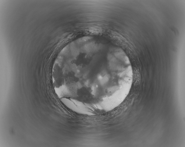 X0000110921009200907301558