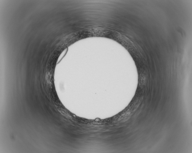 X0000110921010200907301558
