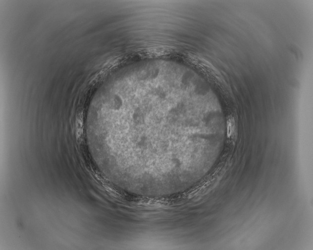X0000110921011200907301558