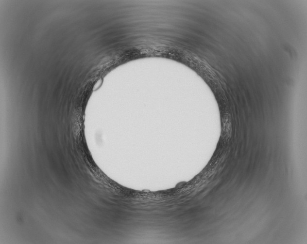 X0000110921012200907301558