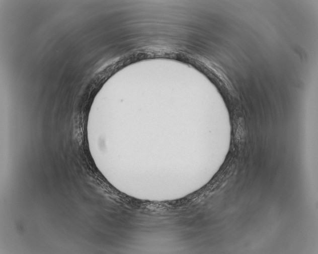 X0000110921015200907301558
