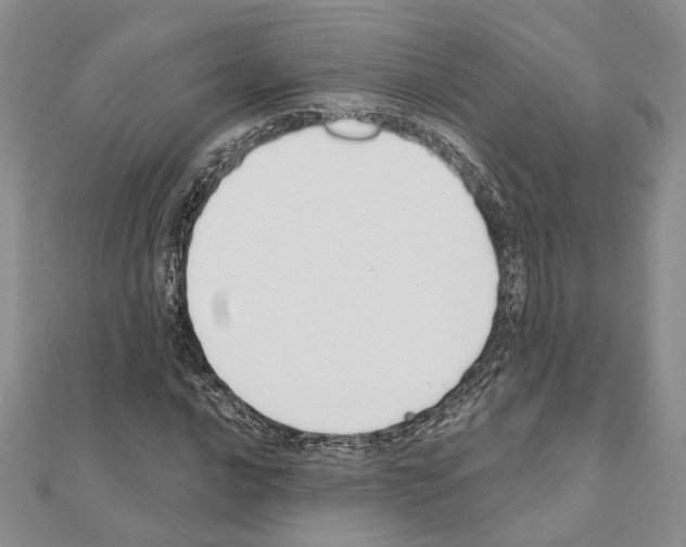 X0000110921016200907301558