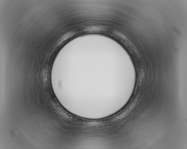 X0000110921017200907301558