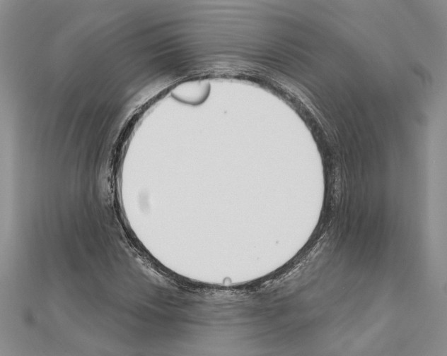 X0000110921018200907301558