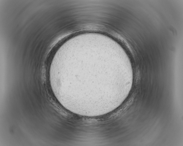 X0000110921019200907301558