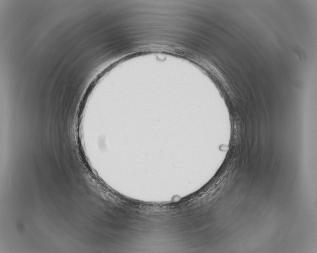 X0000110921020200907301558