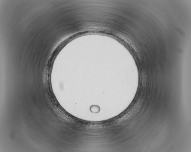 X0000110921021200907301558