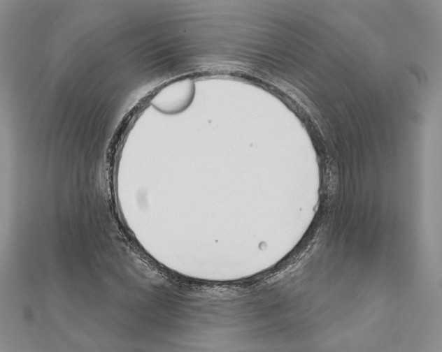 X0000110921022200907301558
