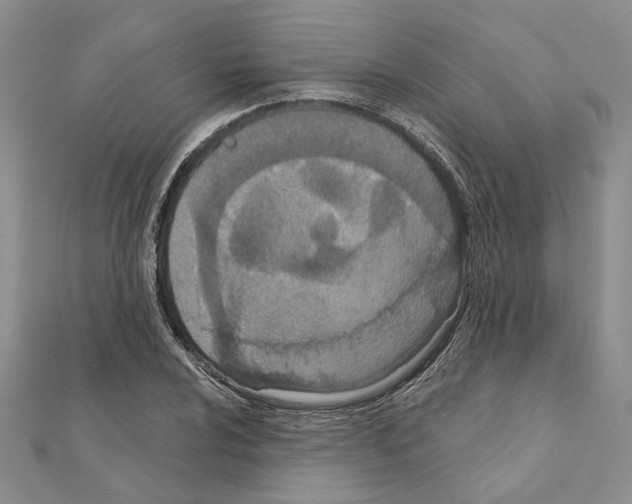 X0000110921024200907301558