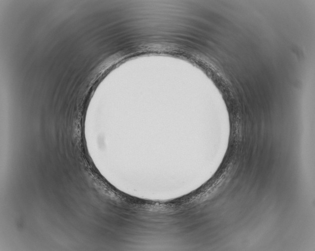 X0000110921025200907301558