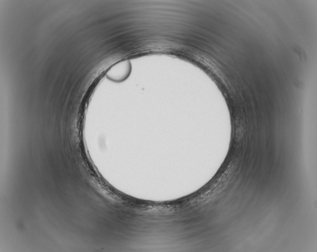 X0000110921026200907301558