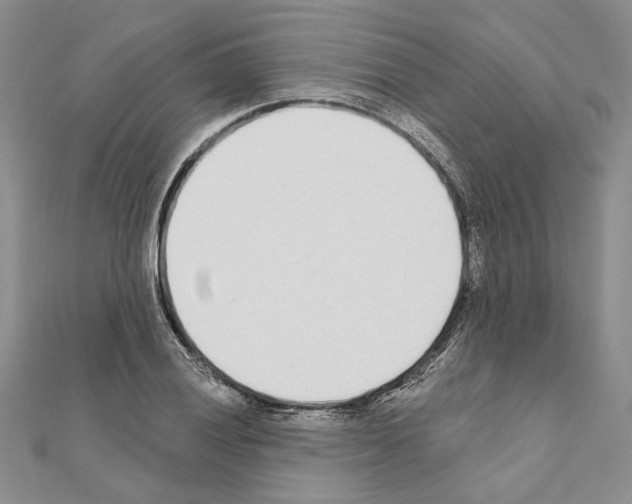 X0000110921028200907301558