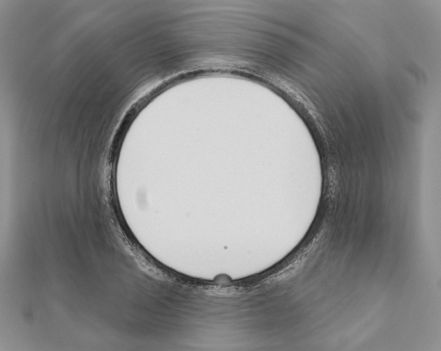 X0000110921029200907301558
